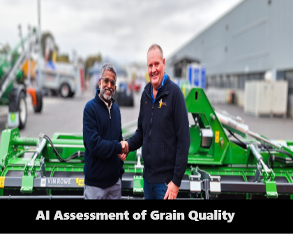 AI Assessment of Grain Quality