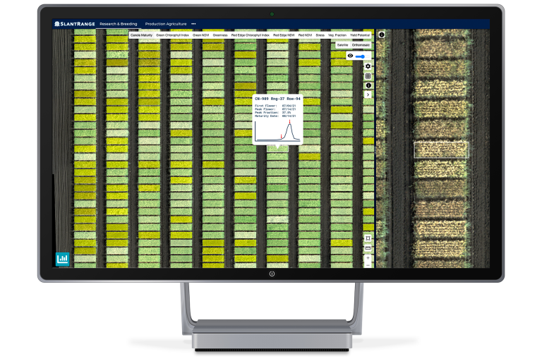 Canola Maturity Graphic Computer