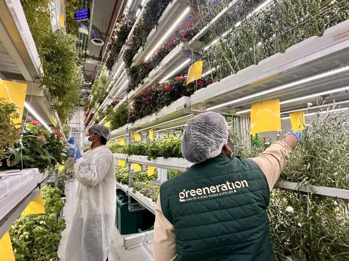 Chef Dmitry Vinokurov Interview Local Sourcing